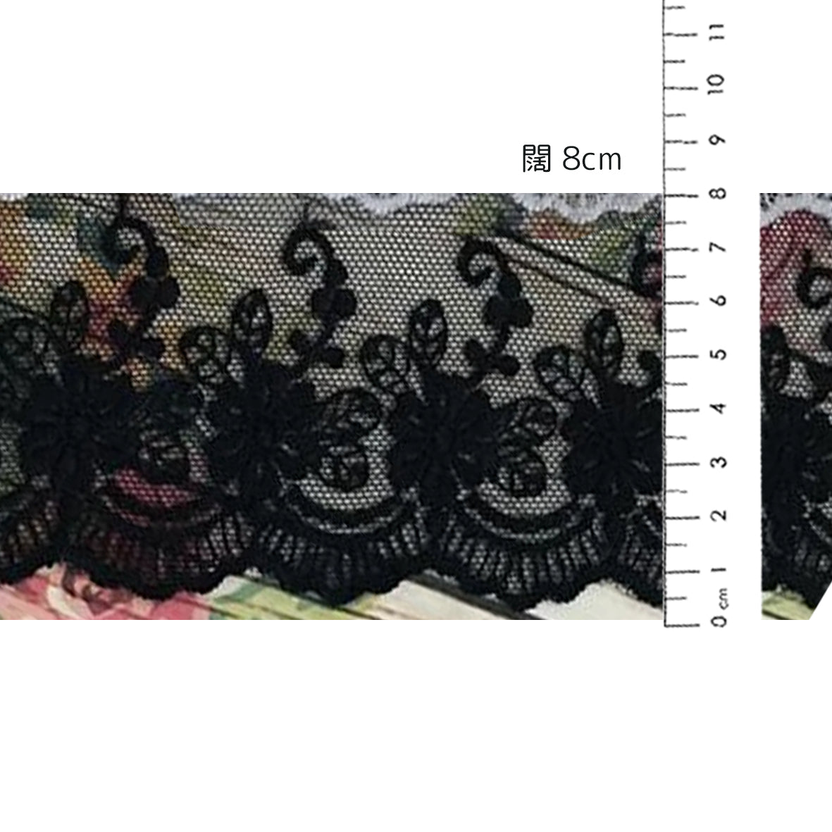Camelia網紗蕾絲 ~ 闊 8cm