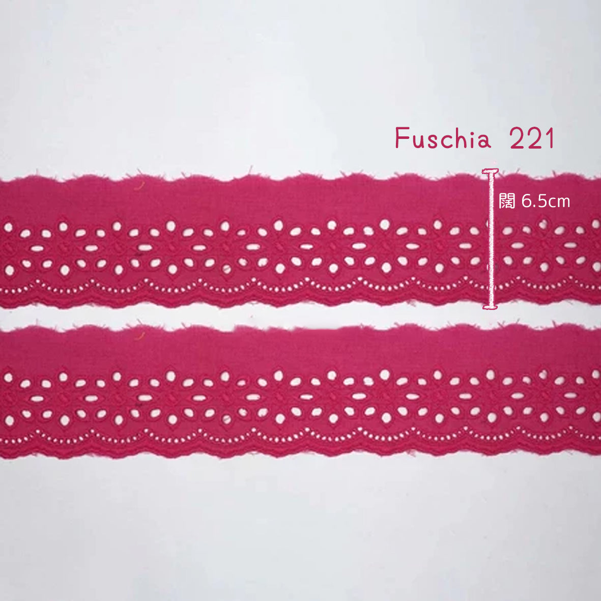 刺繡蕾絲 ~ 闊 6.5cm