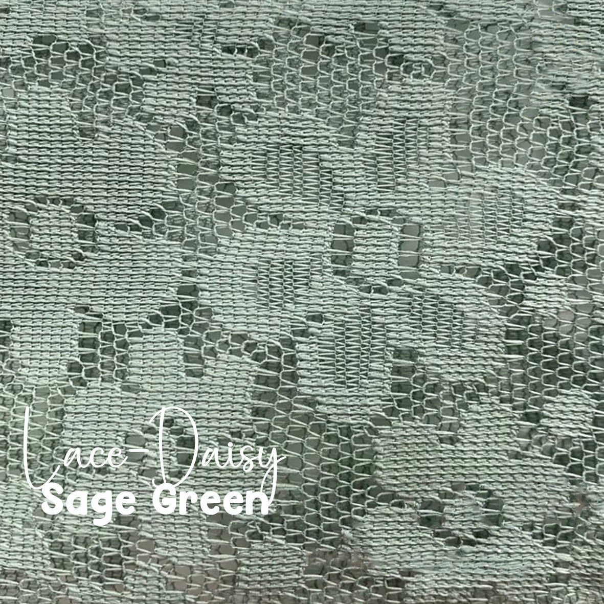 Lace-Daisy